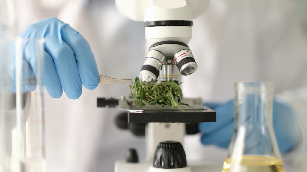 a person in a lab coat and gloves holding a plant